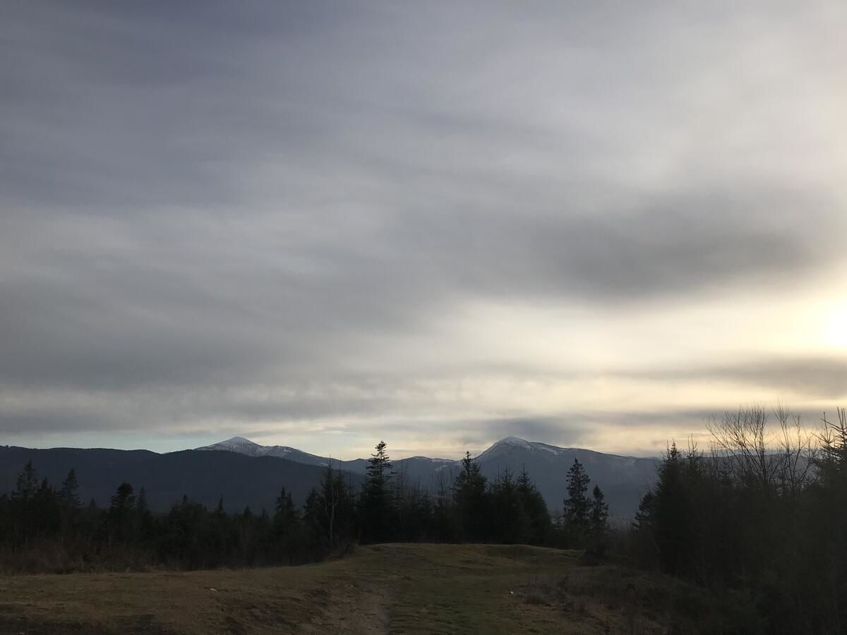 Апартаменты Котедж Бартон Яблоница