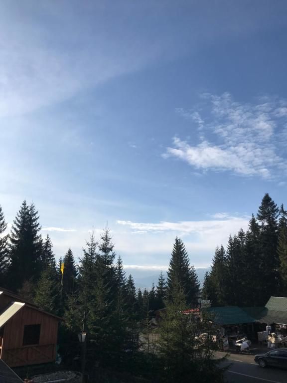 Апартаменты Котедж Бартон Яблоница