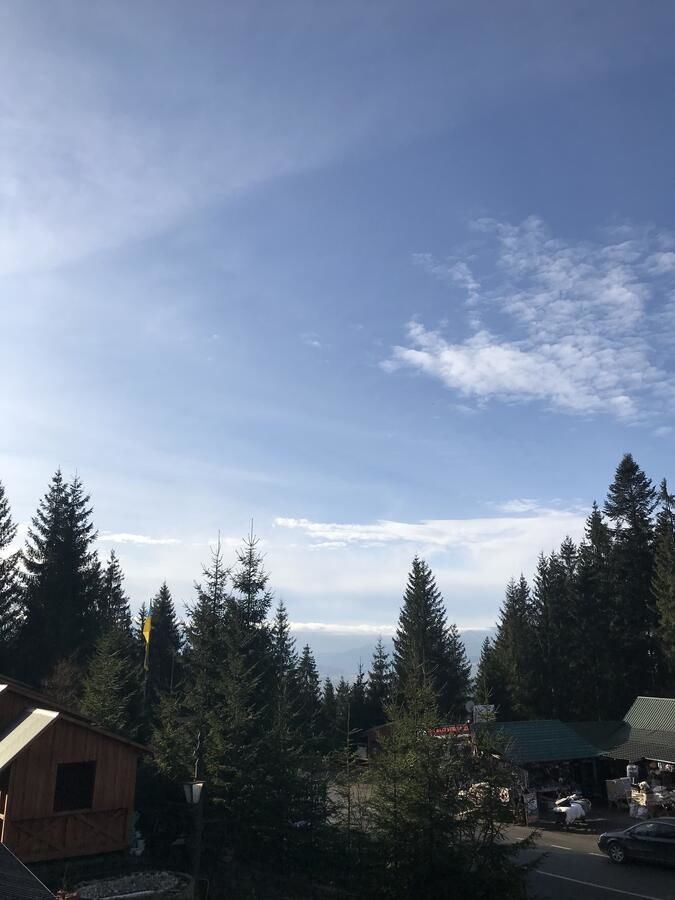 Апартаменты Котедж Бартон Яблоница