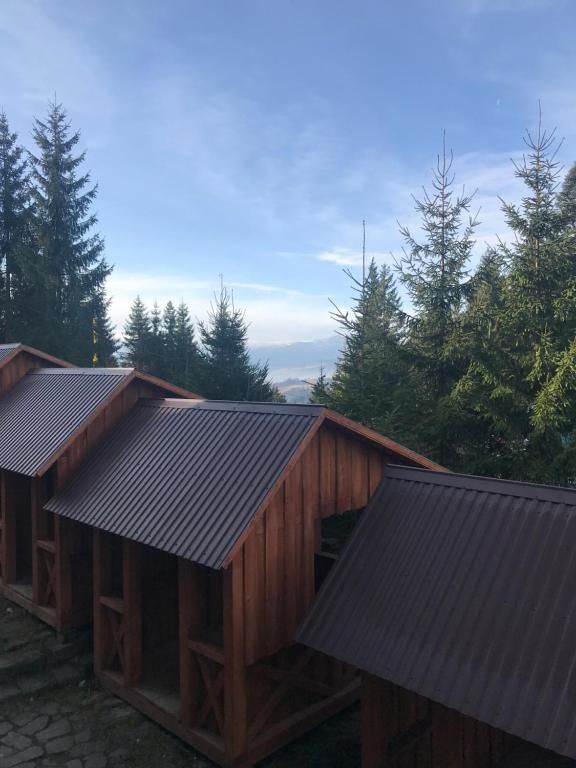 Апартаменты Котедж Бартон Яблоница